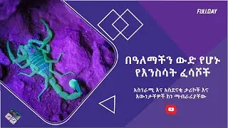 በጣም ውድ የእንስሳት ፈሳሾች |  Most Expensive animal Fluids - FullDay