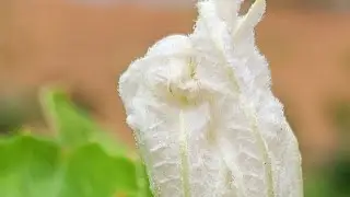 @achuzbworld🌎 is live  ജീവിതത്തിൽ ഇവ ഫോളോ ചെയ്യൂ... ആരോഗ്യം വീണ്ടെടുക്കു 🤗🤗
