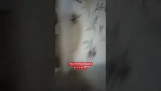 1 ноября 2024 г.
