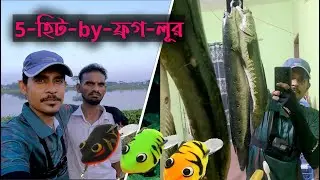 Best 5 Hit snakehead by lure || Frog lure fishing in bd || best fishing video by lure | hook fishing