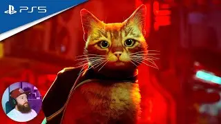 Stray - First 15 Minutes of Gameplay on PS5