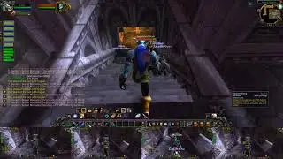 The Scarlet Monastery: Graveyard - Multibox 5 hunters wow classic