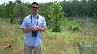 'On The Algonquin Cross County Trail with Jim Rapp' - For Worcester County Tourism