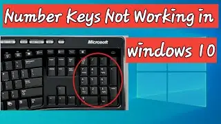 Number Keys Not Working in Windows 10 ||  কিবোর্ড এর নাম্বার বাটন কাজ করছে না  || Bd online All Tips