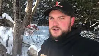 Tips for setting up Bobcat baits Northern VT