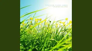 In My Dreams (Nature Ver.)