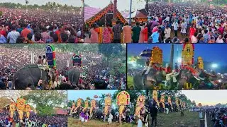 0378 Anayadi pooram 2020 ആന ഭ്രാന്തന്മാരുടെ അഭിമാനമായ ആനയടി പൂരം ഗജമേള