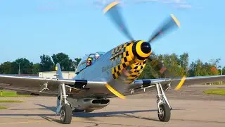 (4K) Warbirds Airshow 2023 | P-51, P-40, C-47 & More!