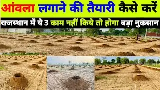 आंवले की खेती||Start Your Own AMLA Farming Business Today