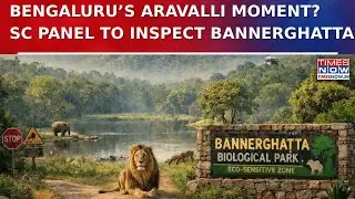 SC Panel to Inspect Bengaluru's Bannerghatta National Park After Activists Flag ESZ Cuts