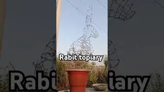 #rabbit #plant #malpi #topiary #malpighia plant #beautiful #garden #video