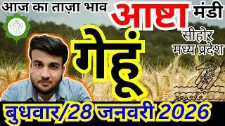 🔥🌾गेहूं आज का ताजा भाव | 28 जनवरी 2026 | आष्टा मंडी गेहूं भाव आज | संदीप नागर