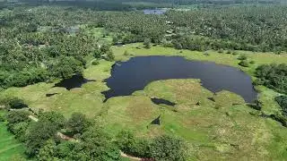 Beautiful Lake, Temple & Paddy Fields From Above  Cinematic Drone Footage