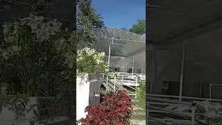 Zoobic Safari Glampz cloud 9 Subic Zambales