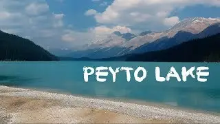 Peyto Lake: An Unexpected Adventure
