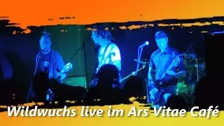 Wildwuchs live in Rodewisch (Ars Vitae Caf&eacute;), Punkrock aus Plauen