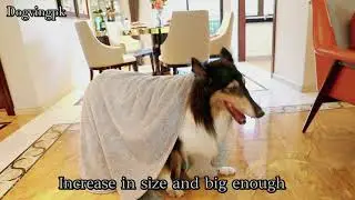 Dog Towel XL Super Absorbent Soft Luxury Microfiber Dog Drying Towel for Dogs Bathing Pet Bath Towel
