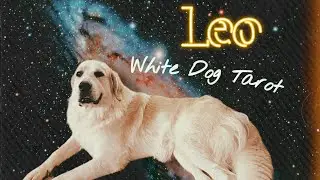 Fire Signs- Leo: You and You&rsquo;re Person&rsquo;s energy  #leo #aries #sagittarius #tarot