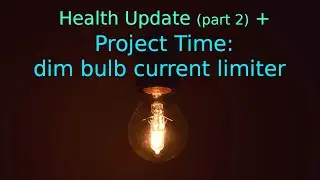 Health (pt. 2) + Dim Bulb Current Limiter Project