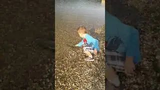 Luka pusta Basa