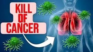&ldquo;5 Cancer Fighting Foods Backed by Science
