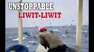 UNSTOPPABLE LIWIT-LIWIT DESPITE OF WAVY OCEAN/SKIPJACK TUNA CATCHING|Ka-BOYBOY TV