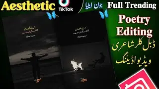 How To Make Trending Aesthetic Urdu Reels | Double Color Urdu Text Reel Video Editing