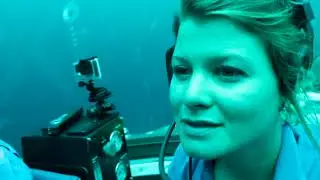 LOOK 5 - Unit 6 - Video 8 - School trip 2 (The Gal&aacute;pagos Islands: Deep sea)