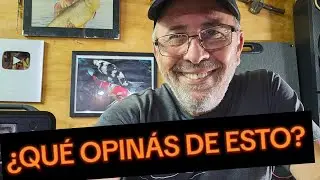 CU&Aacute;LES SON LOS PECES M&Aacute;S F&Aacute;CILES  DE PESCAR ?