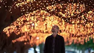 Mowbray Park creative lighting project