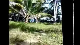 Tigman Beach