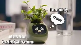 Smart Home, Multi functional Ivy Plant Cute Pet