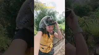 Lemur Attack! Unexpected jump in Madagascar 🤣🤍#lemur #madagascar #лемур #мадагаскар #jumplemur