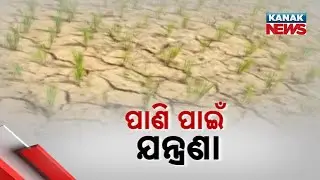 Climate Change Or Nature&rsquo;s Fury? Erratic Rainfall Threatens Farmers And Kharif Crops In Odisha