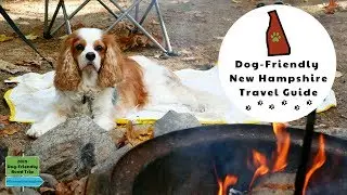 Pet-Friendly Cabins in NH | Dexter The Dog's 2019 US Road Trip Vlog 23