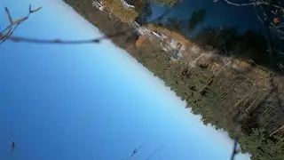 The drone that crashed, drowned, was hijacked by a bird, but survived