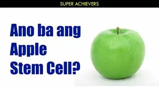 Ano ang Apple Stem Cell?