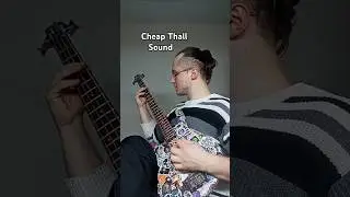 cheap thall sound #djent #thall #music #bassguitar #progressivemetal #riff #sample #this #loop