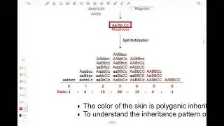 UPSC Anthro PYQ (2011-2024) Topic 9.2  Human Genetics & Inheritance | Lethal, Polygenic, Multifact.