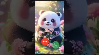 Cute panda phone call