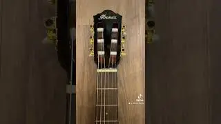 Ibanez AEG50N-BKH Nylon
