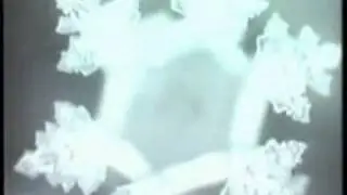 BEETHOVEN SYMPHONY No 9 WATER CRYSTALS EMOTO EMOTIONS