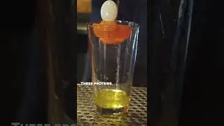 How to CORRECTLY make a whiskey sour