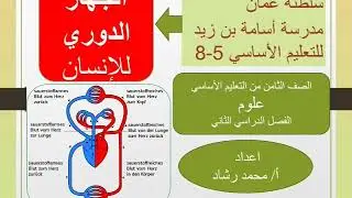 الجهاز الدوري