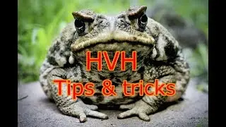 Hazardous Valley - Tips & Tricks