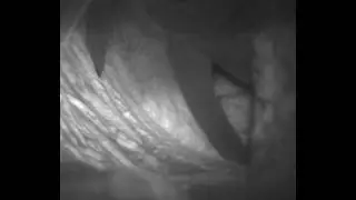 High-Speed Recording Camera System: Cutter
