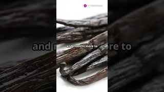The Secret Behind Madagascar Vanilla: Worth More Than Silver!