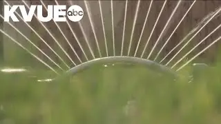 Austin Water offers landscape rebate program