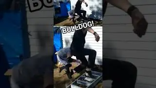 Bulldog off the ladder! #wrestling #prowrestling #backyardwrestling
