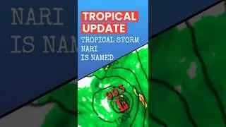 TS Nari Forms NE of Philippines, Threat for Japan? #weatherfollower #weather #typhoon #philippines